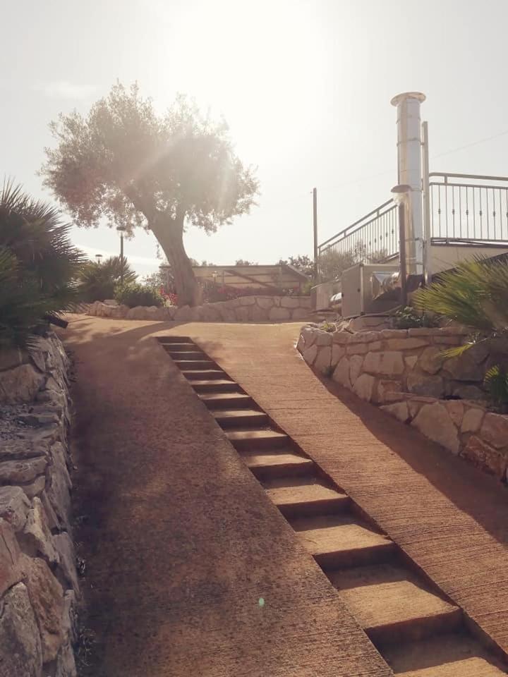 Zio Tonino Bed & Breakfast Termoli Bagian luar foto
