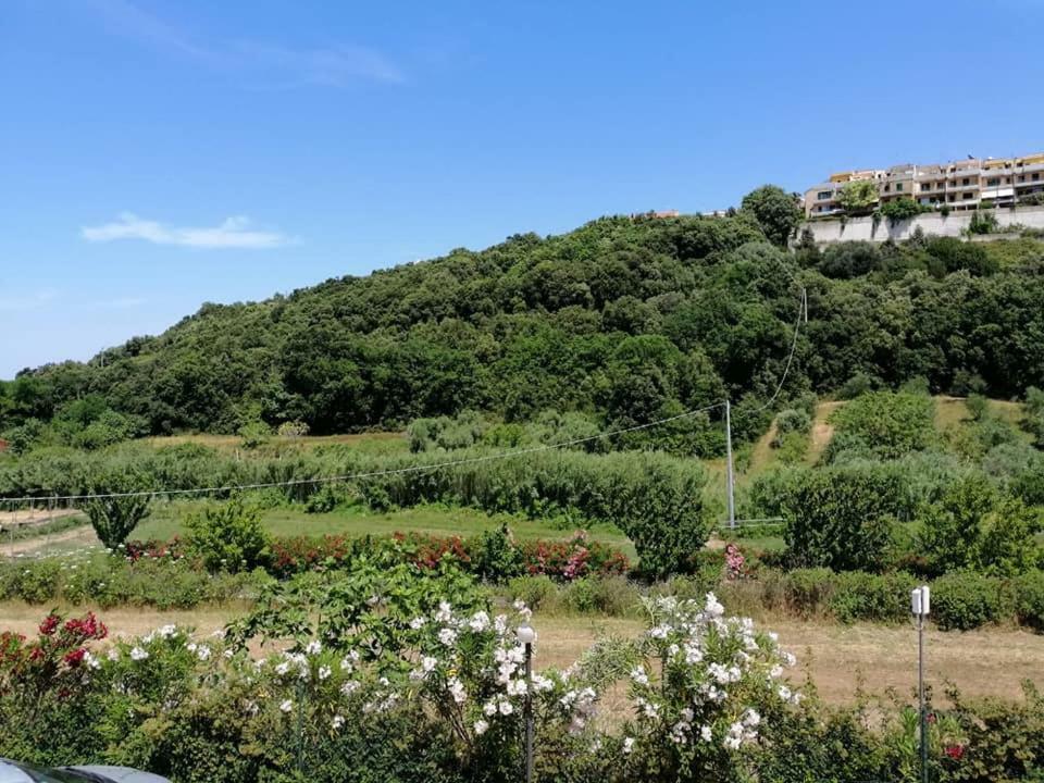 Zio Tonino Bed & Breakfast Termoli Bagian luar foto